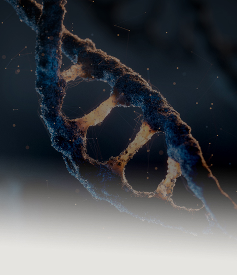 줄기세포 재생 프로그램